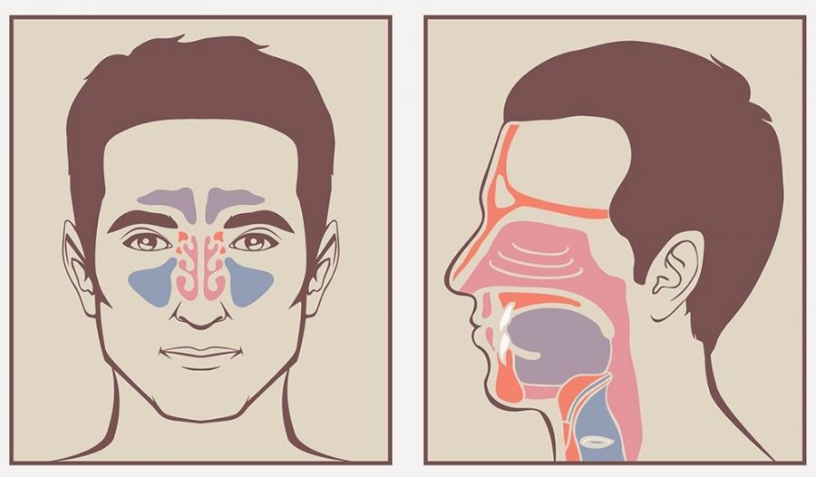 Breathing... Nose Or Mouth? - TriBreath - Move Easier - Breathe Deeper