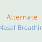 Alternate Nasal Breathing