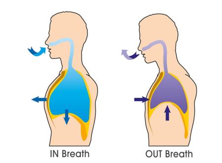 Diaphragm Breathing - TriBreath - Move Easier - Breathe Deeper